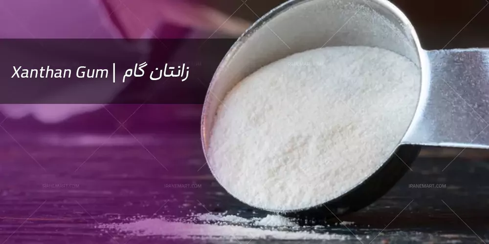 زانتان گام